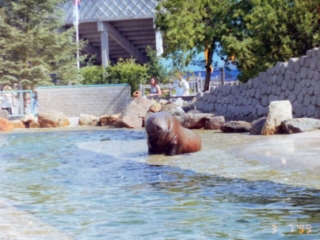 Ferie i Benelux 1999