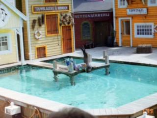 Ferie i Benelux 1999