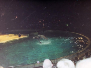 Ferie i Benelux 1999
