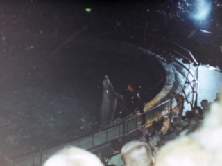 Ferie i Benelux 1999