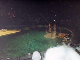 Ferie i Benelux 1999