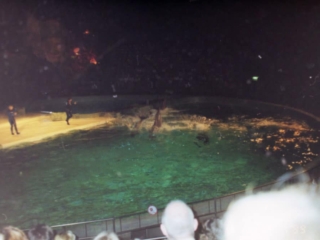 Ferie i Benelux 1999