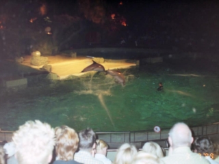 Ferie i Benelux 1999