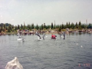 Ferie i Benelux 1999