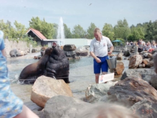 Ferie i Benelux 1999