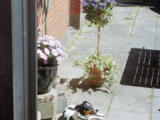 Diverse billeder fra 2005